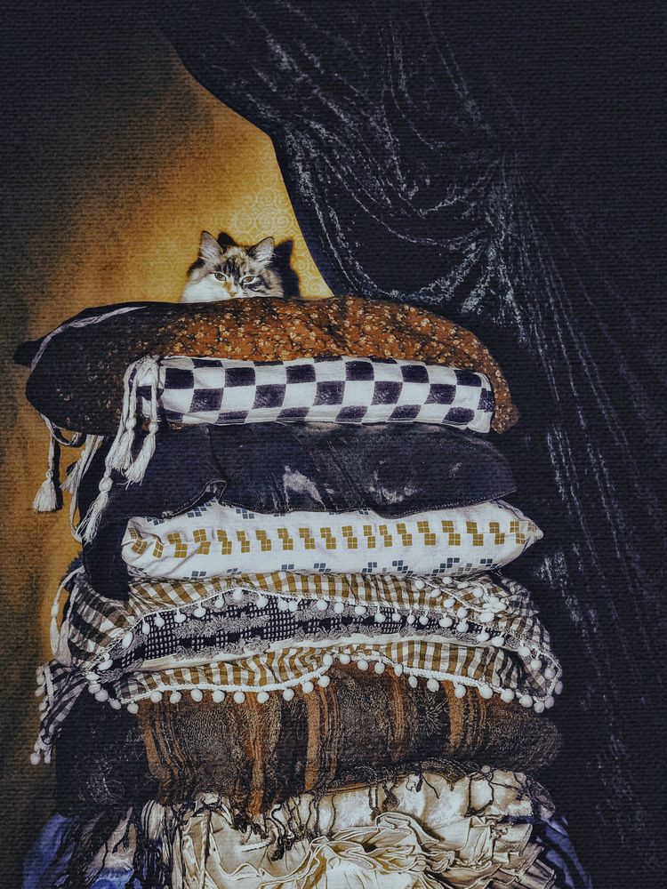 Фотография автора Евгения Никишина