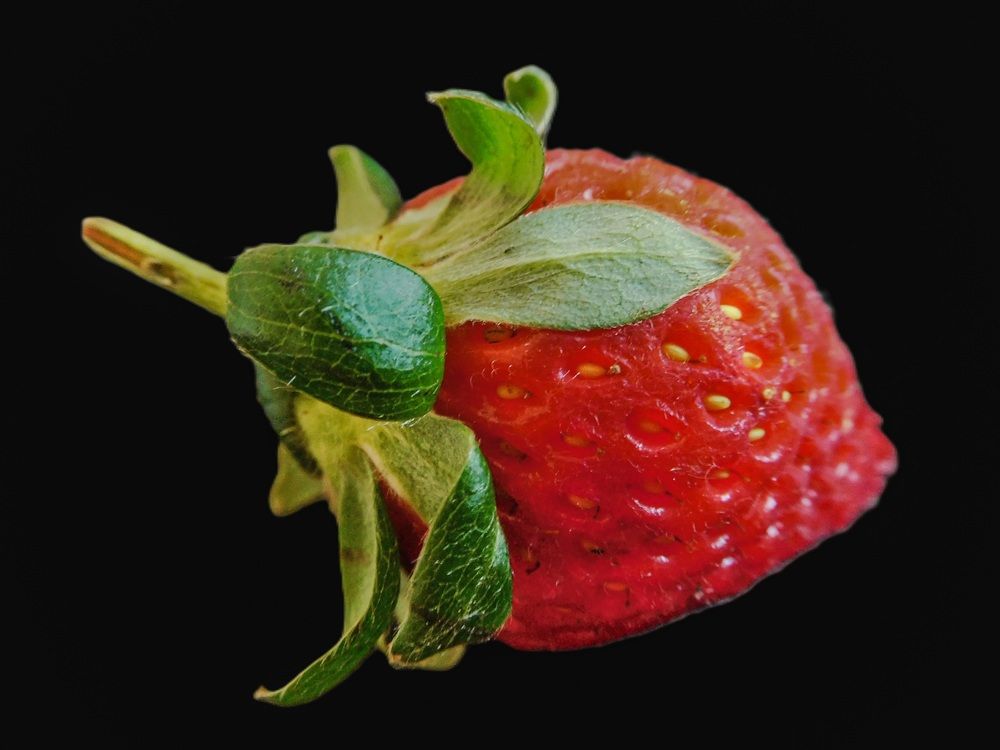 Photograph by HECTOR ANTONIO RAUCHS