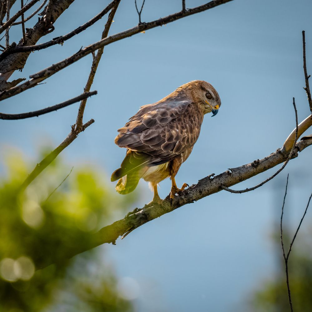 Фотография автора Владислав Белоус