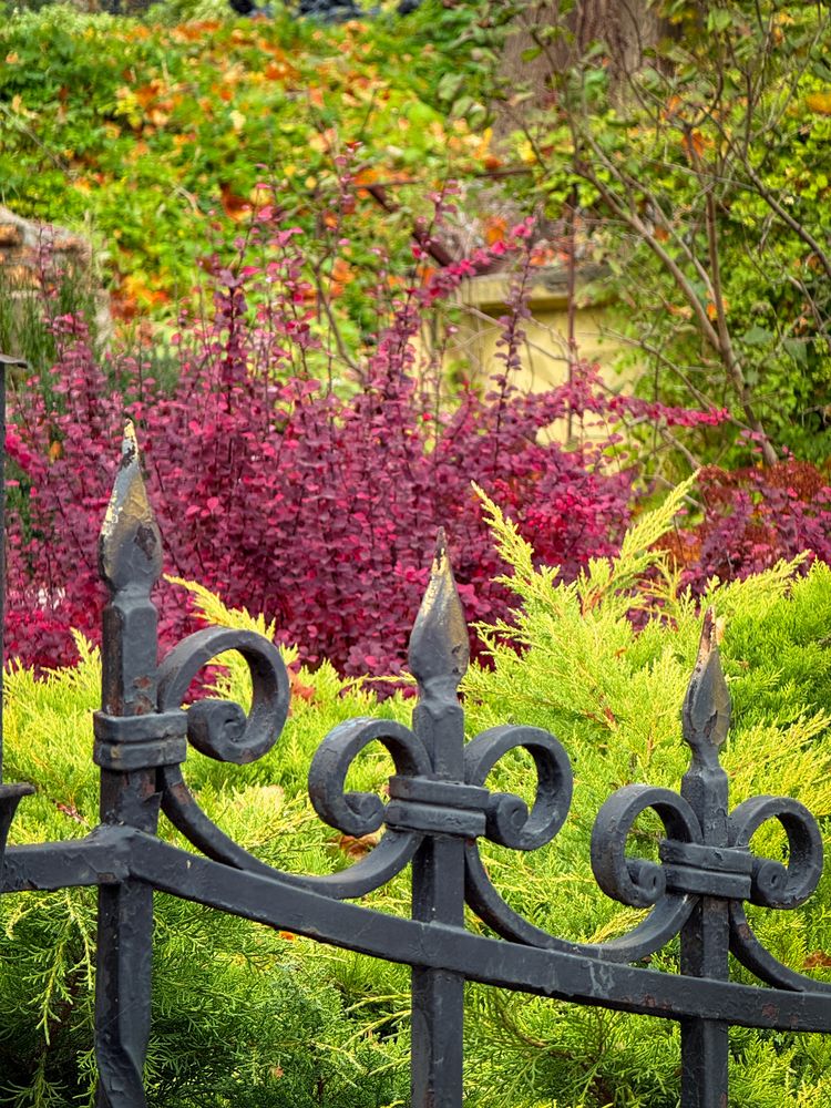 Photograph by Евгений Фролов