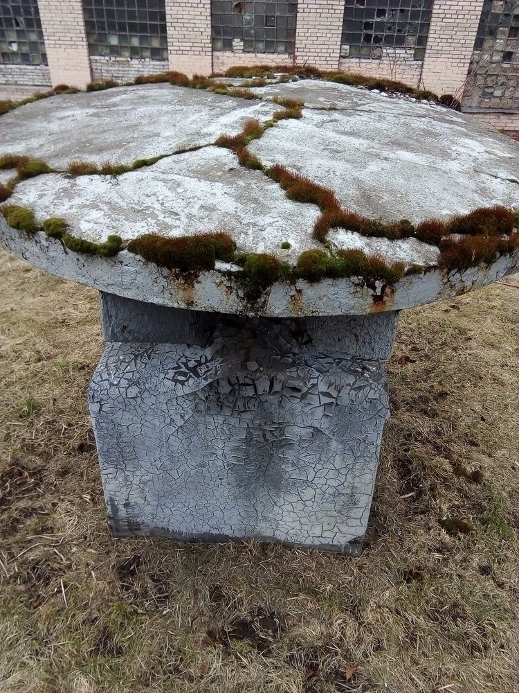 Photograph by Людмила Ковалева