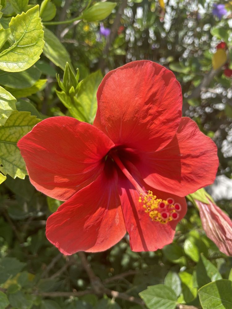 Photograph by Юлия Давшан
