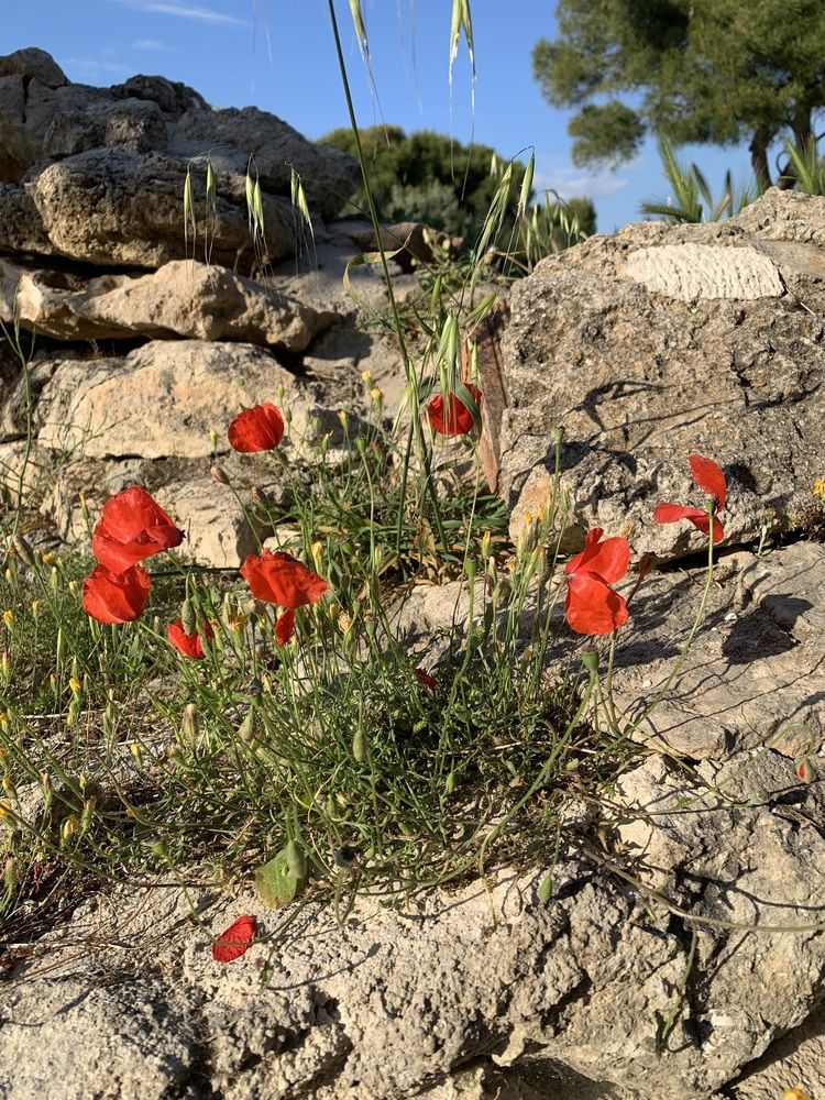 Photograph by Юлия Давшан