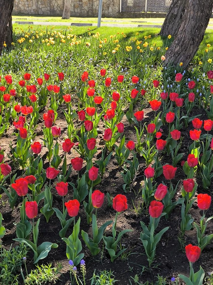 Фотография автора Юлия Лубкина