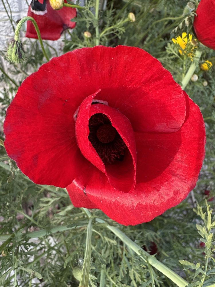 Photograph by Юлия Давшан