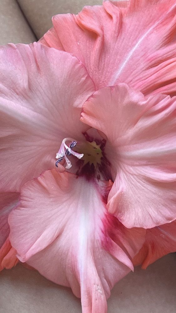 Photograph by Ольга Денисёнок