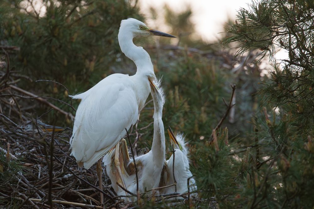 Photograph by Дмитрий Федорако