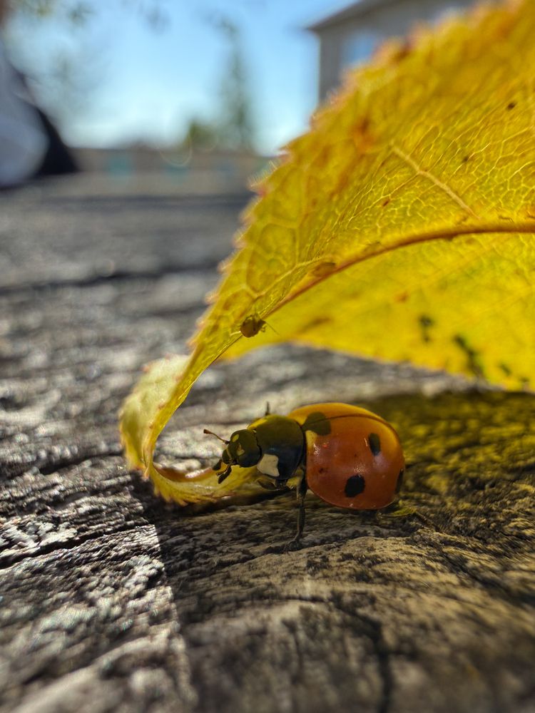 Photograph by Евгений Фролов