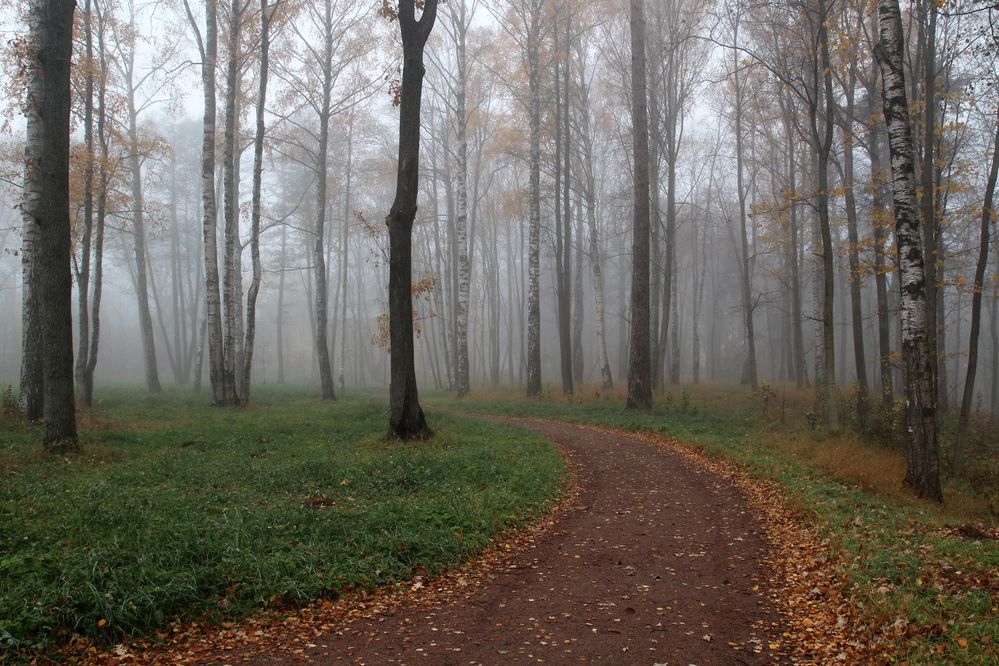 Photograph by Марианна Браун