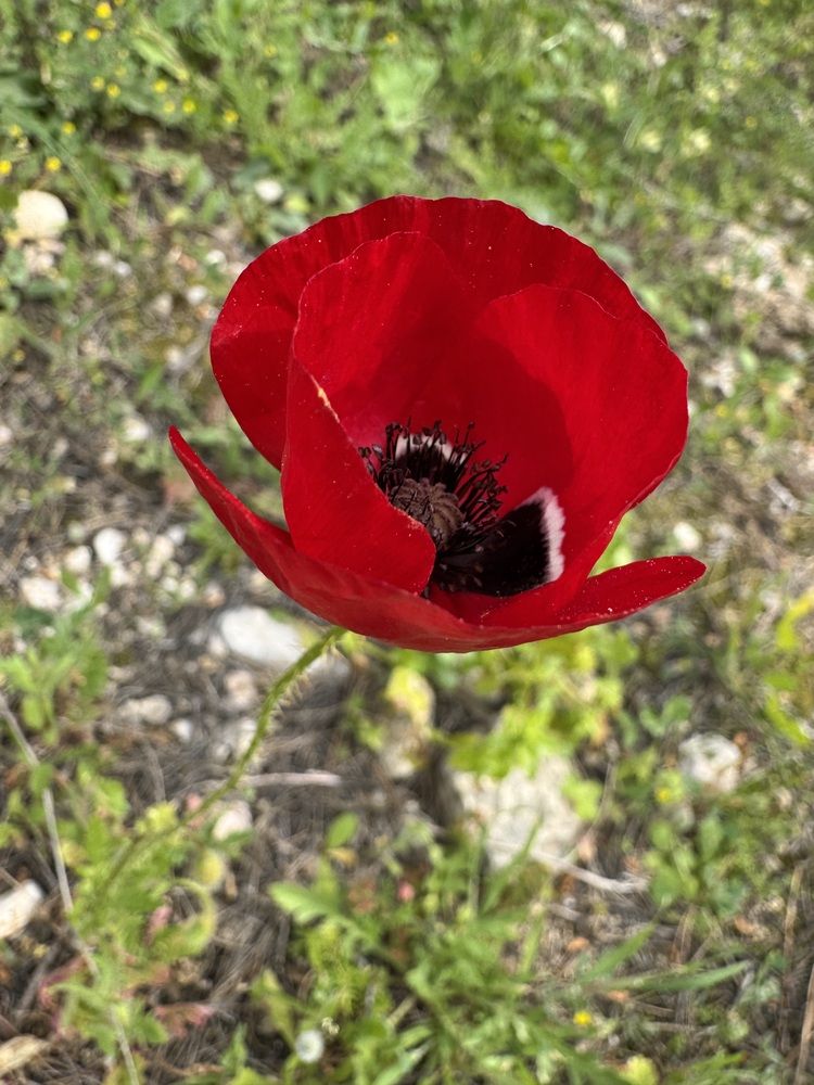 Photograph by Юлия Давшан