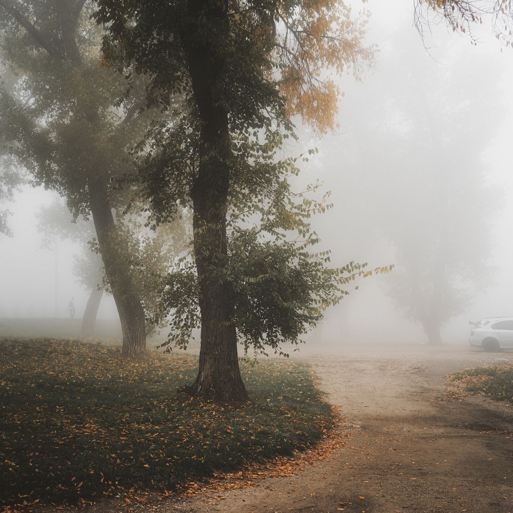 Фотография автора Сухенко Олег