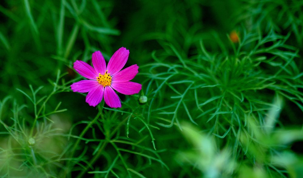 Photograph by Дмитрий Жуков