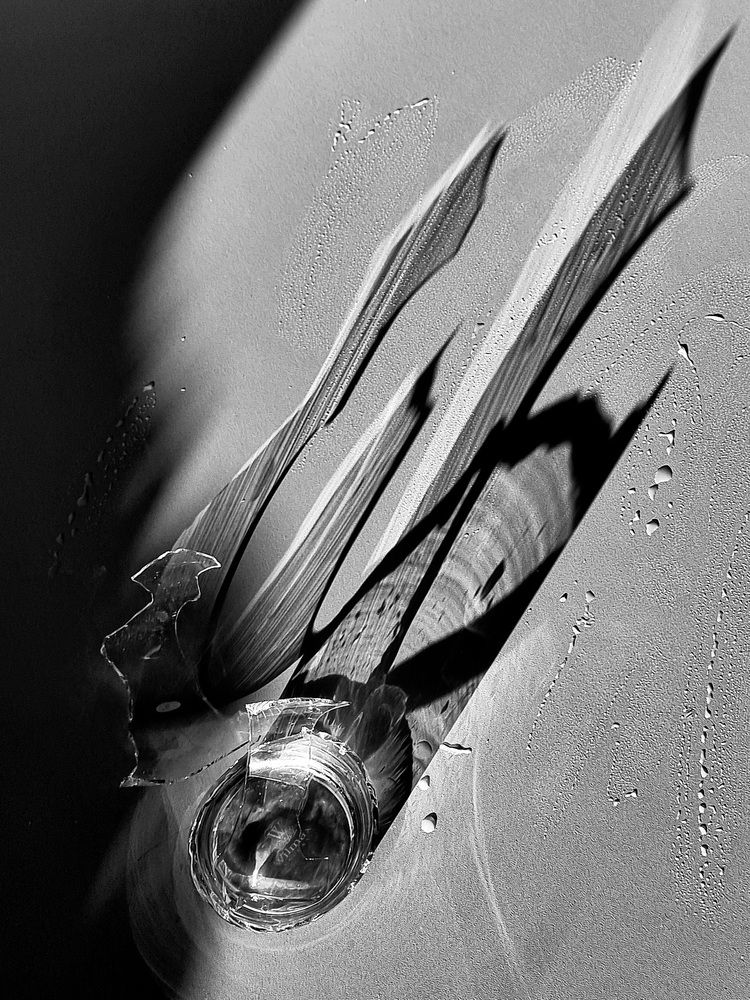 Photograph by Галина Гельфман