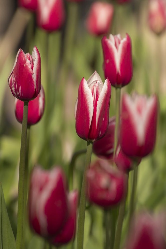 Photograph by Валентина Куренкова