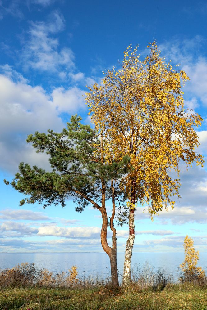 Photograph by Андрей Циликов