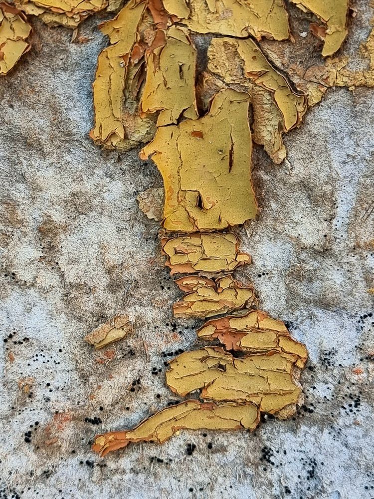 Photograph by Галина Гельфман