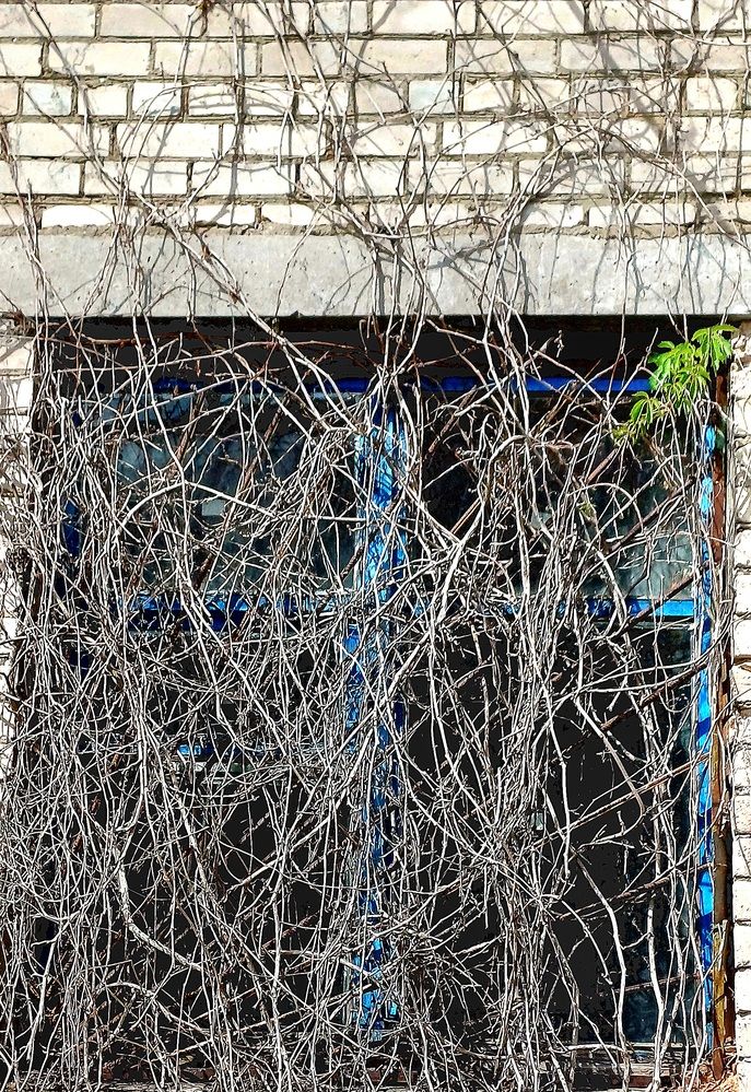 Photograph by Елена Воронова