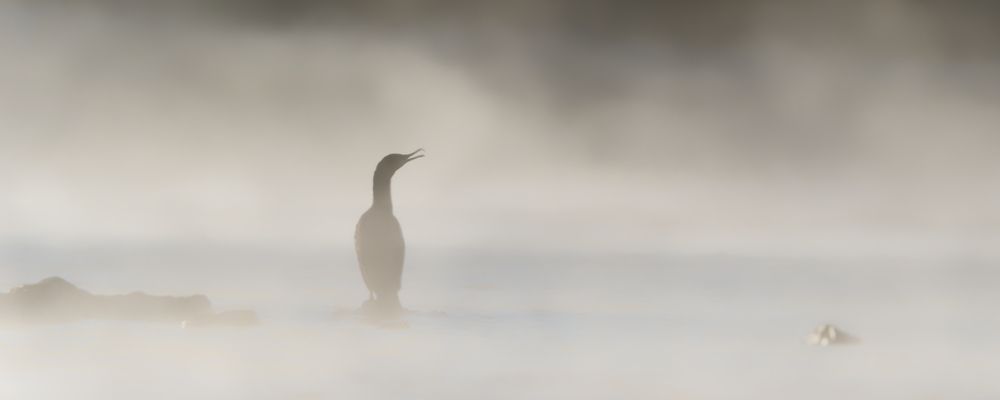 Photograph by Jørgen Hovde