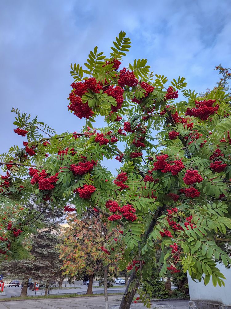 Фотография автора Татьяна Петренко