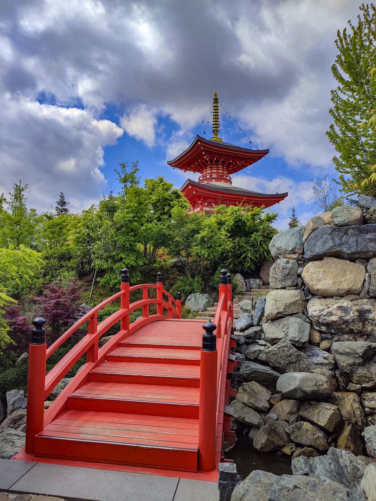 Фотография автора Татьяна Петренко