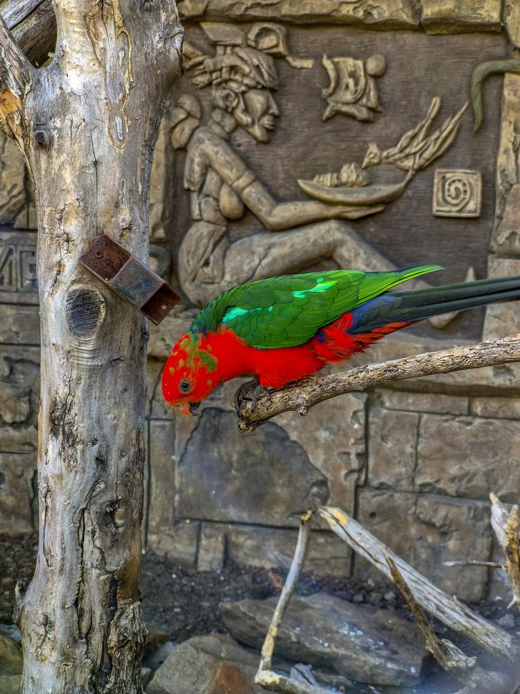 Фотография автора Татьяна Петренко