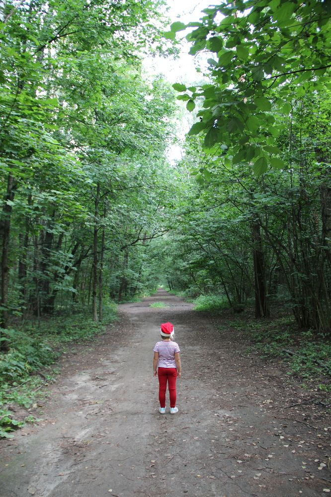 Photograph by Alisa Mitina