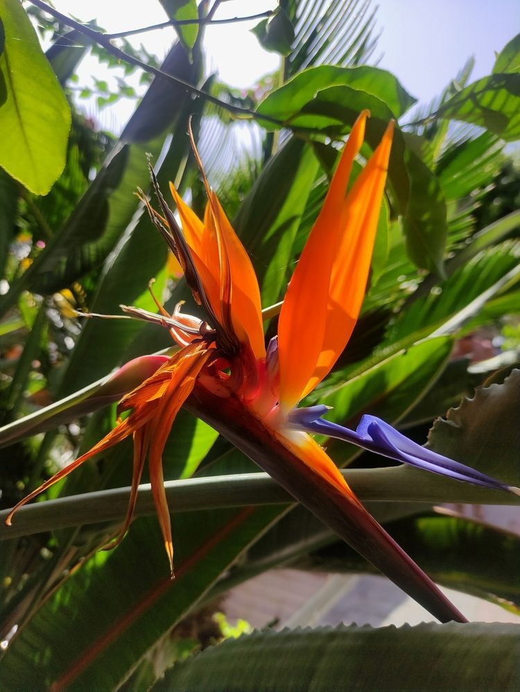 Photograph by Marina Podlesnaya