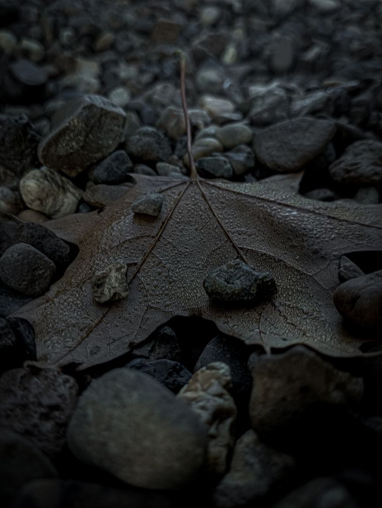 Photograph by Елена Ерасова