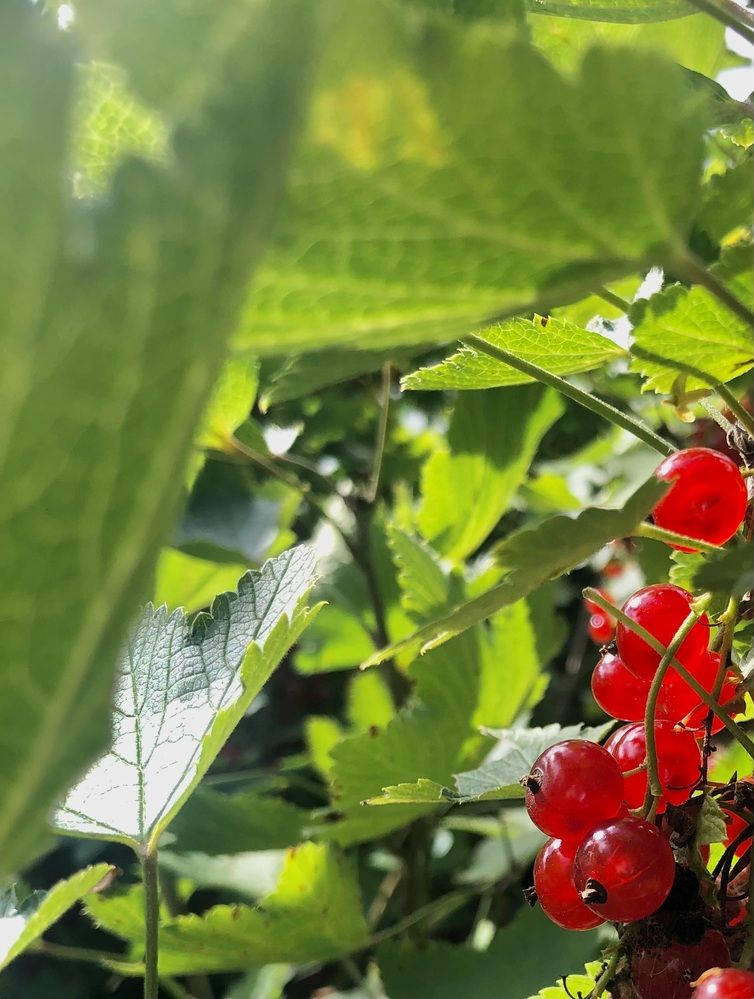 Photograph by Олеся Семёнова