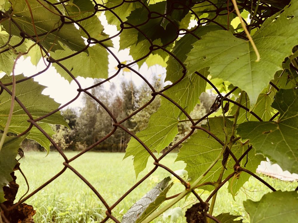 Photograph by Олеся Семёнова