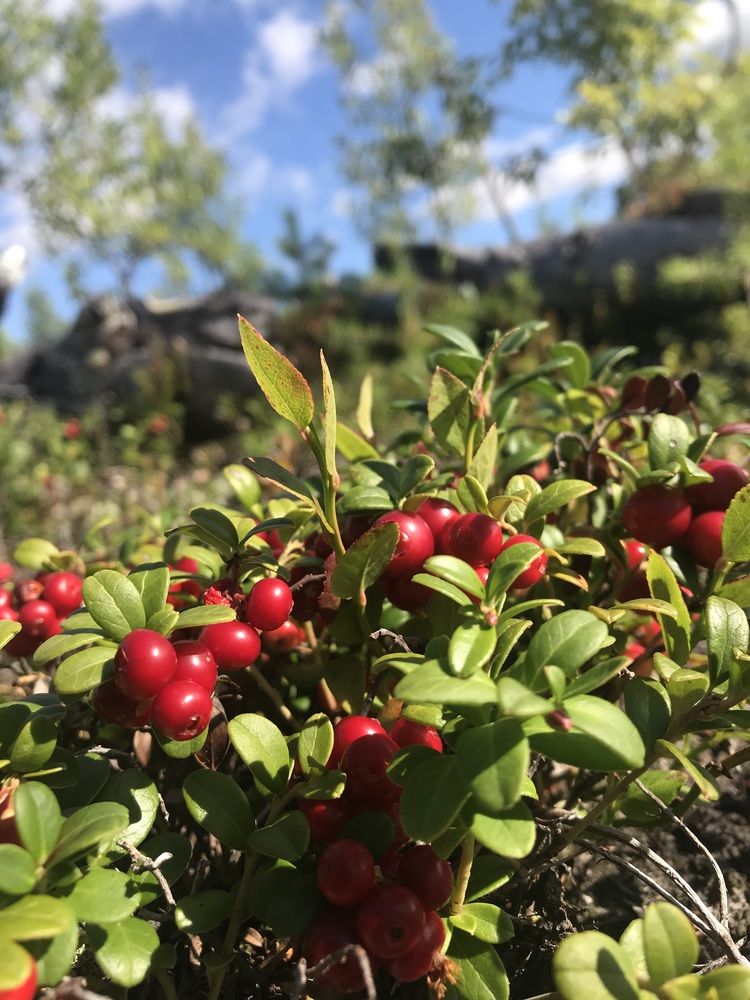 Photograph by Олеся Семёнова