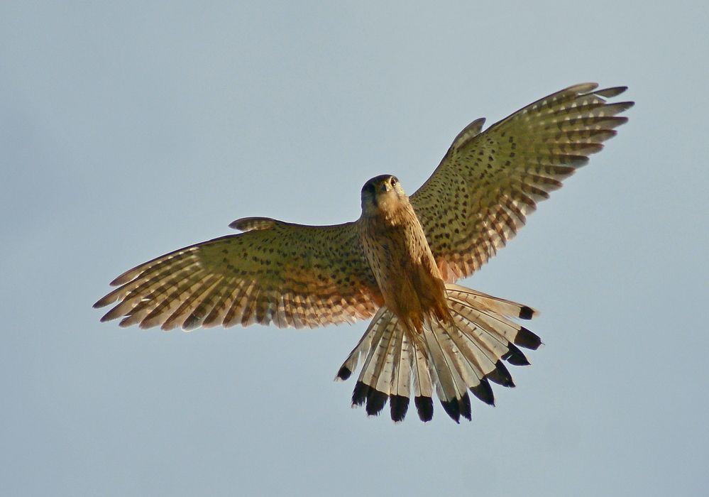 Photograph by Владислав Иопек