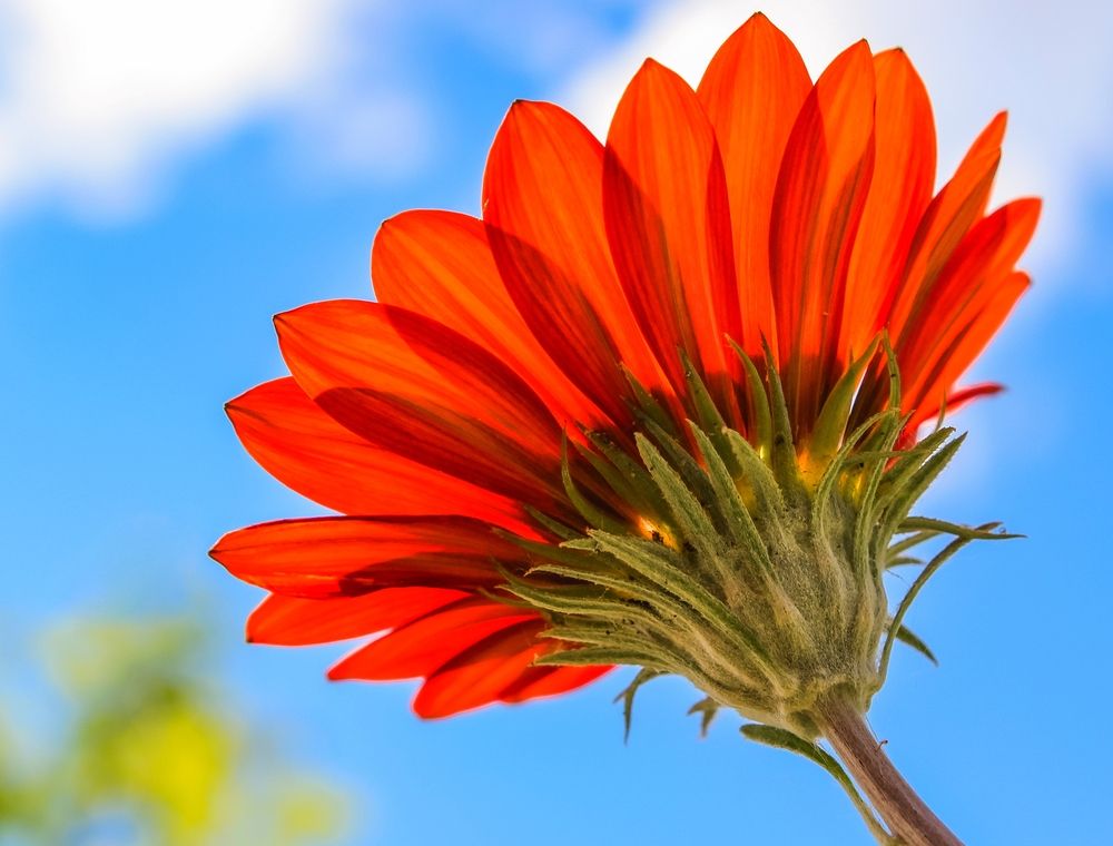 Photograph by Ольга Ситникова