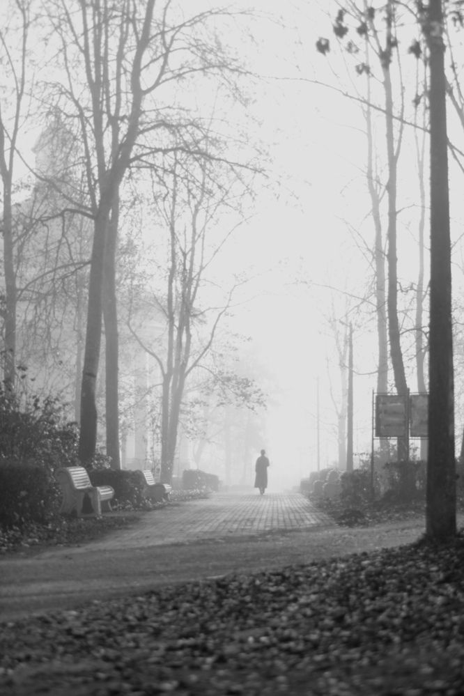 Photograph by Ольга