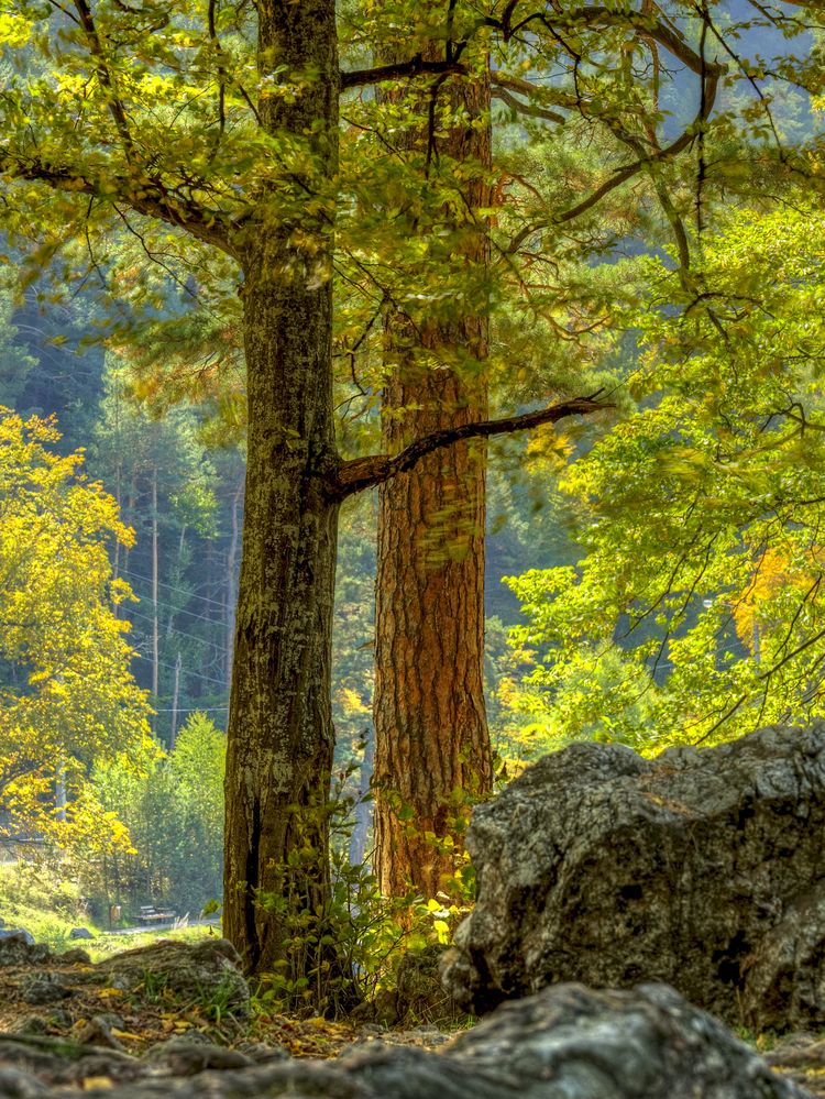 Photograph by Igor Maksimenko