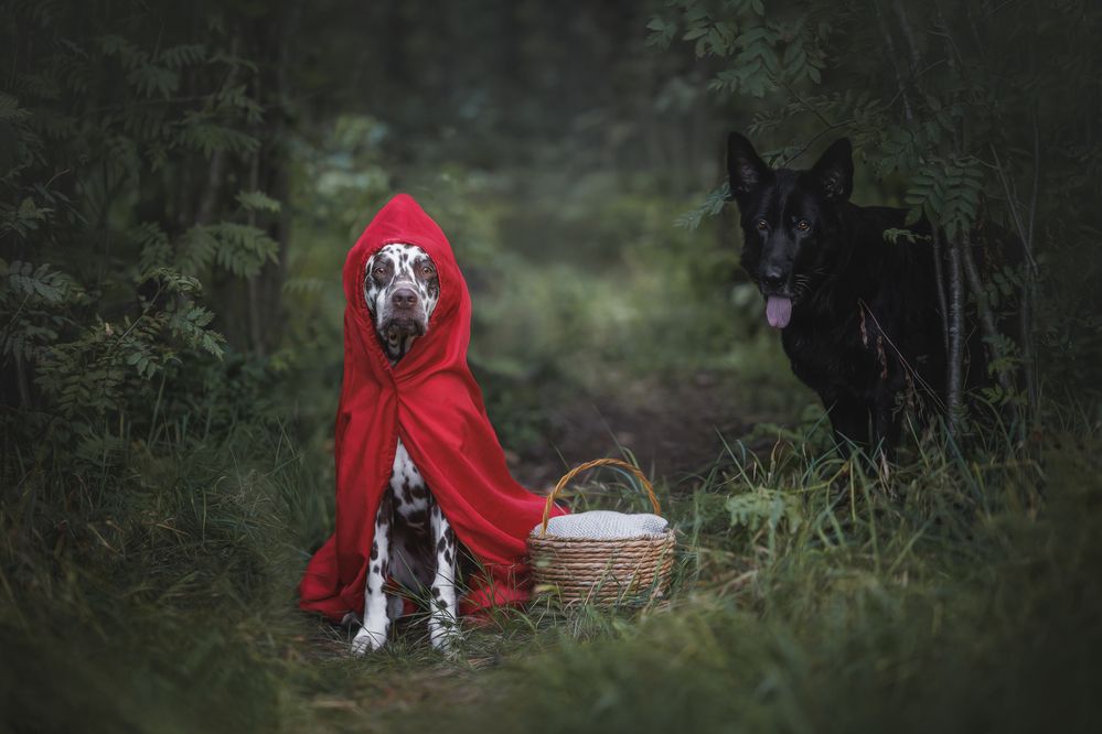 Photograph by Яна Нарбутович