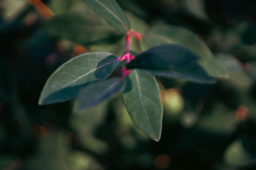 Photograph by Александр Ходакин