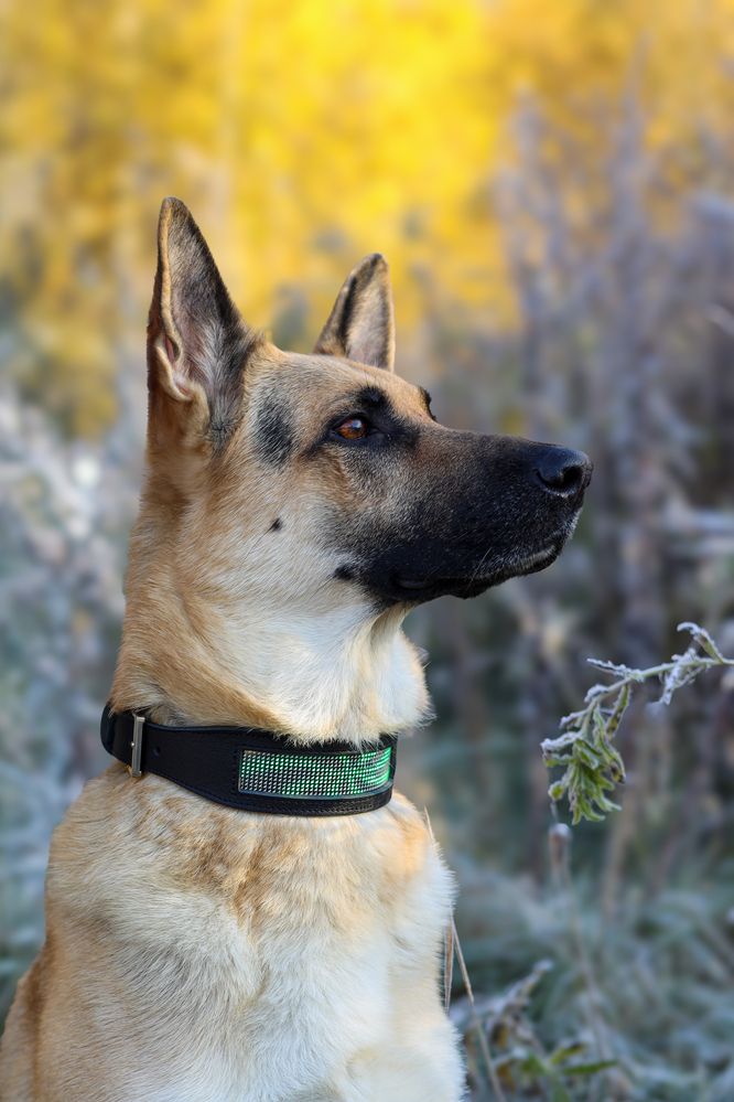 Photograph by Анастасия Ануфриева