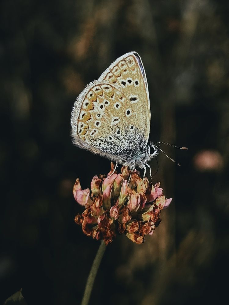Photograph by Анна Токуда