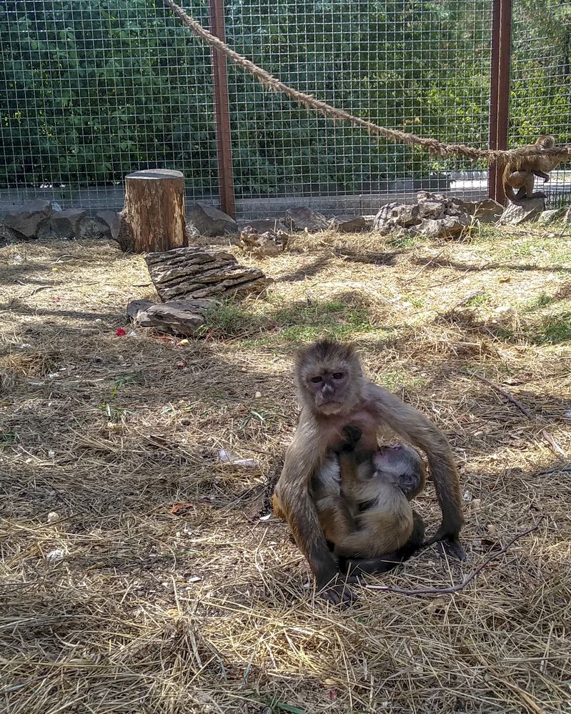 Фотография автора Татьяна Петренко