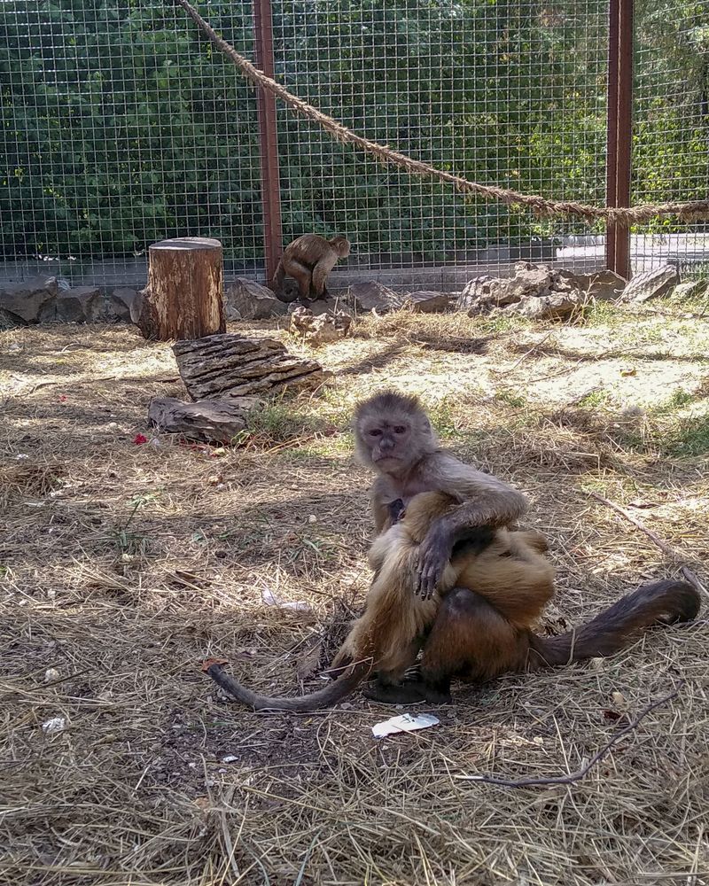 Фотография автора Татьяна Петренко