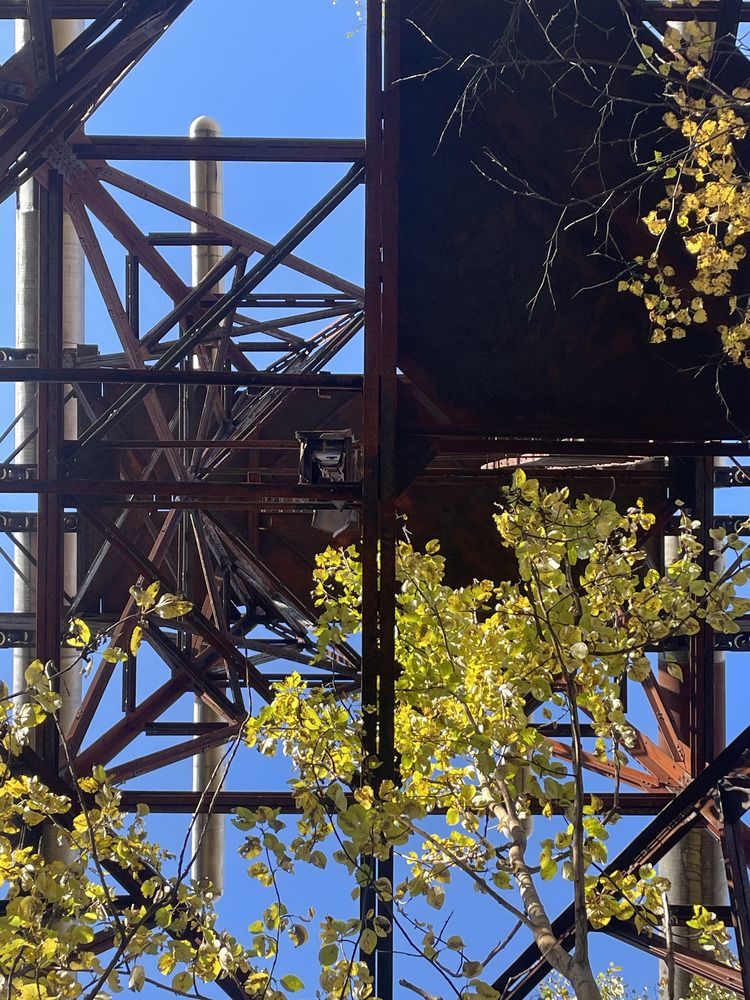 Photograph by Яна Бойко