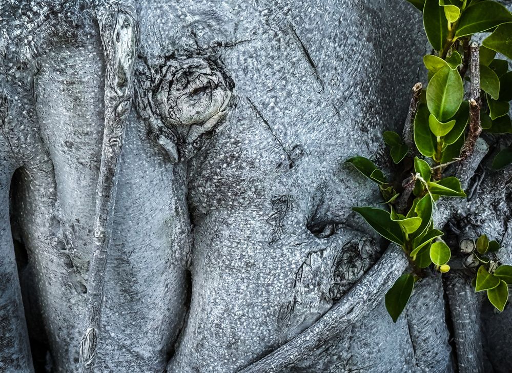 Photograph by Анна Стрелковская