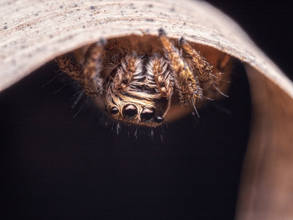 Photograph by Andrii Didushko