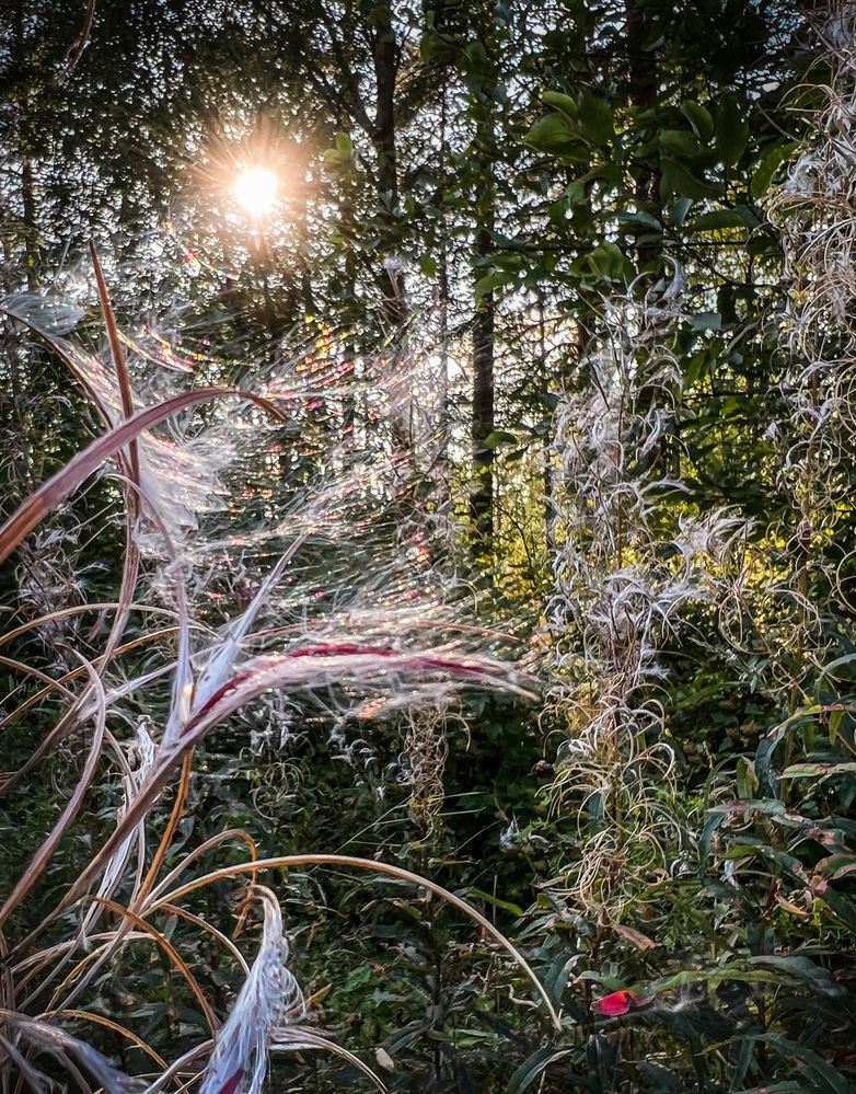 Photograph by Анна Стрелковская