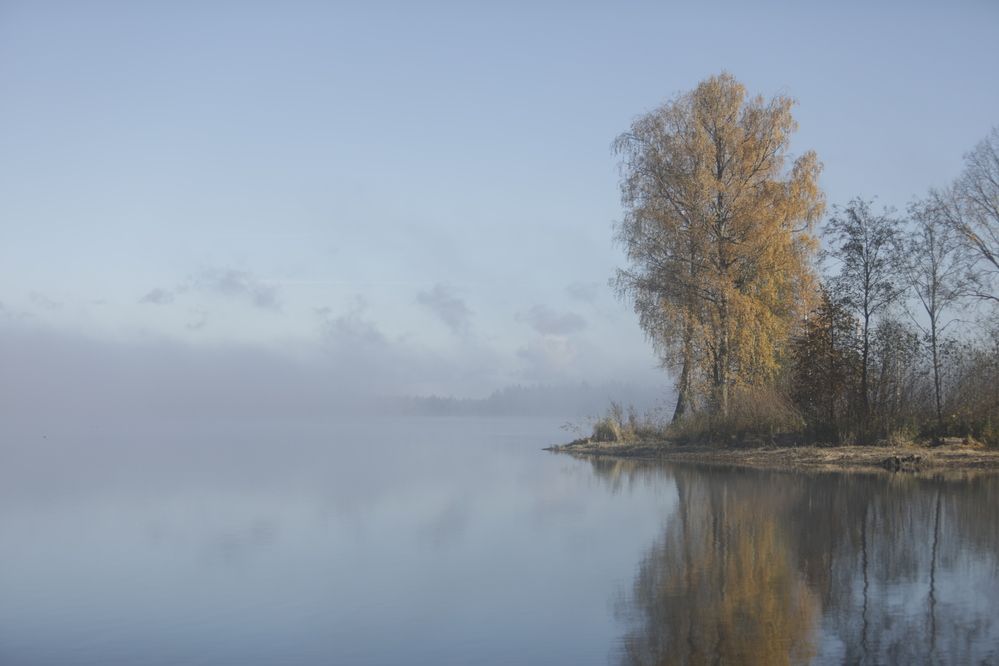 Фотография автора Ольга