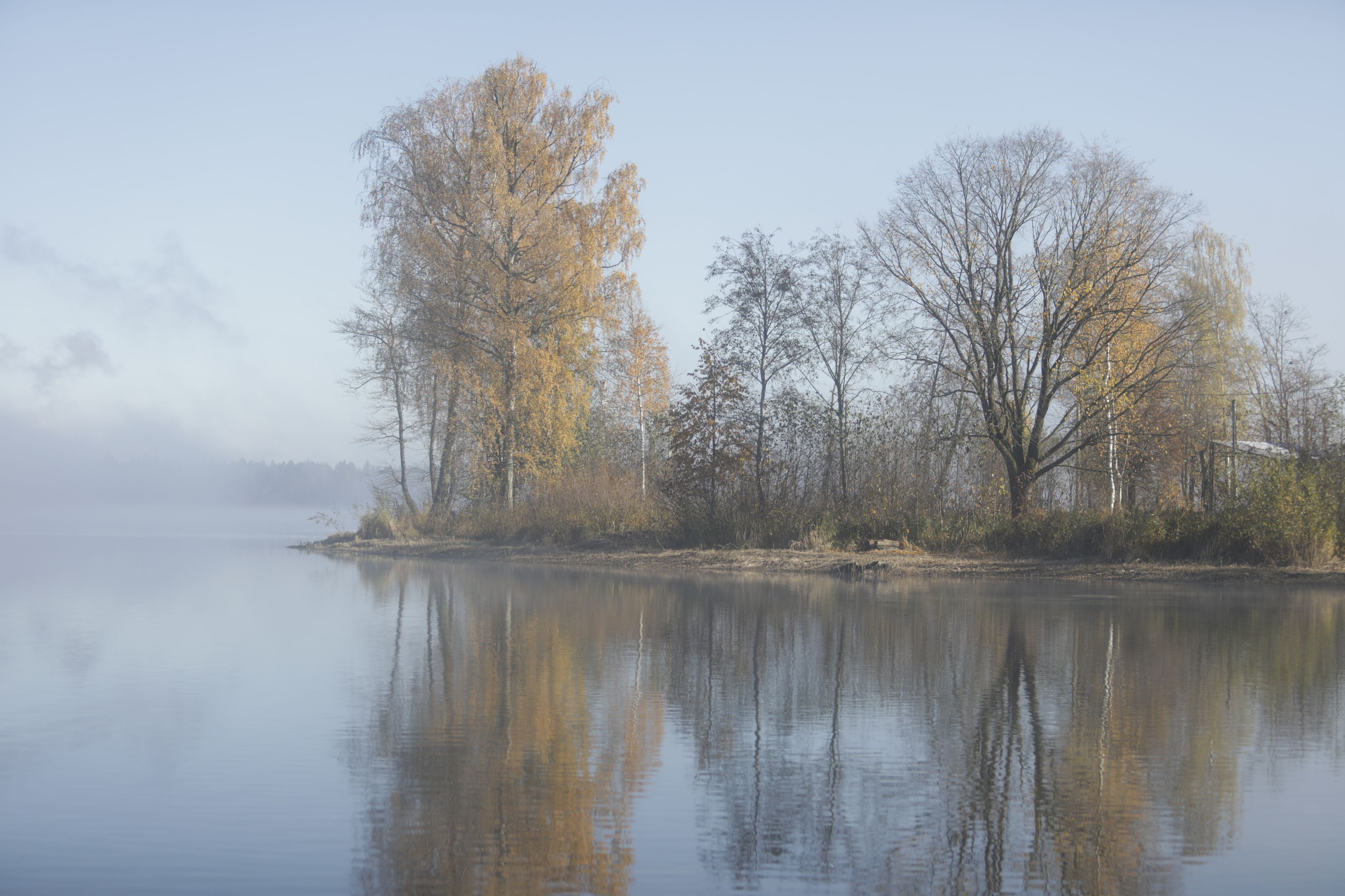 Фотография автора Ольга