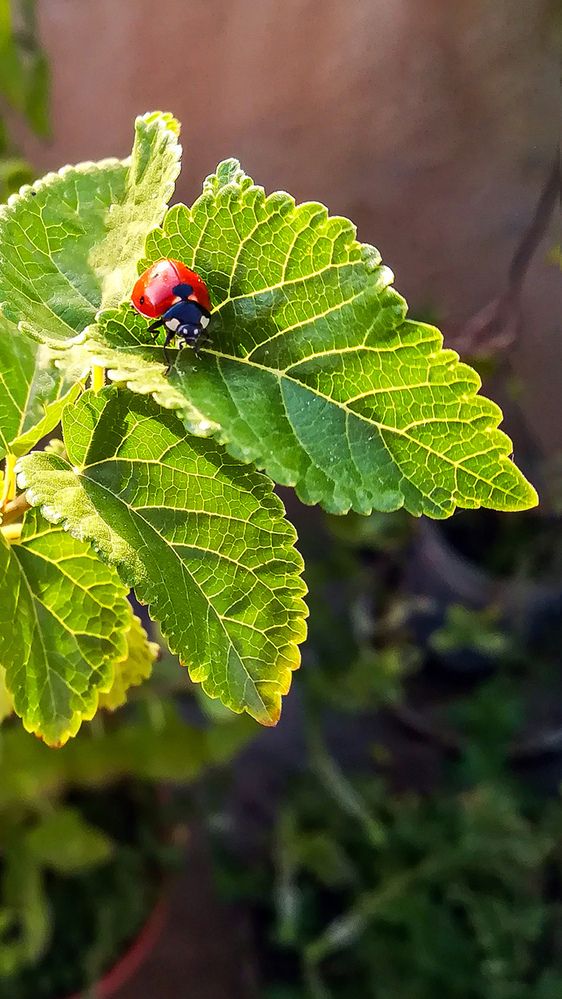 Photograph by Sahar Jafari