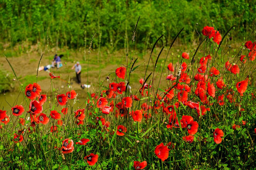 Photograph by Sahar Jafari