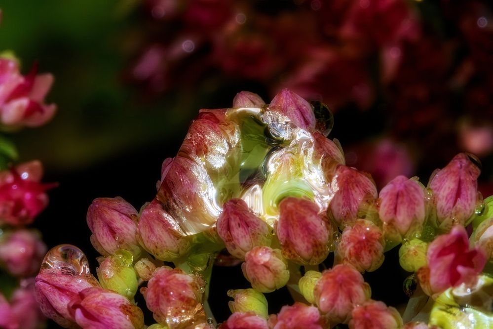 Photograph by Михаил Косолапов